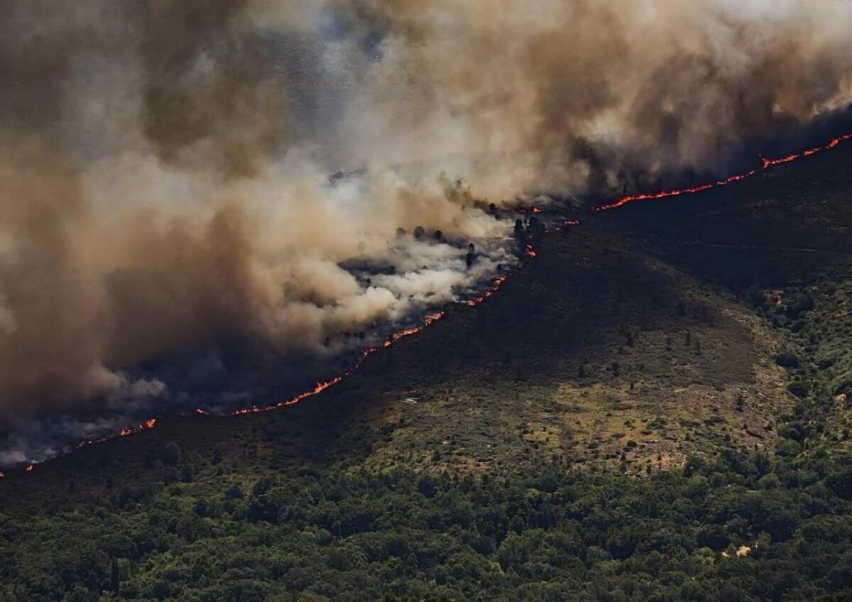 Incendios en España: más de 115.000 evacuados y emergencia nacional