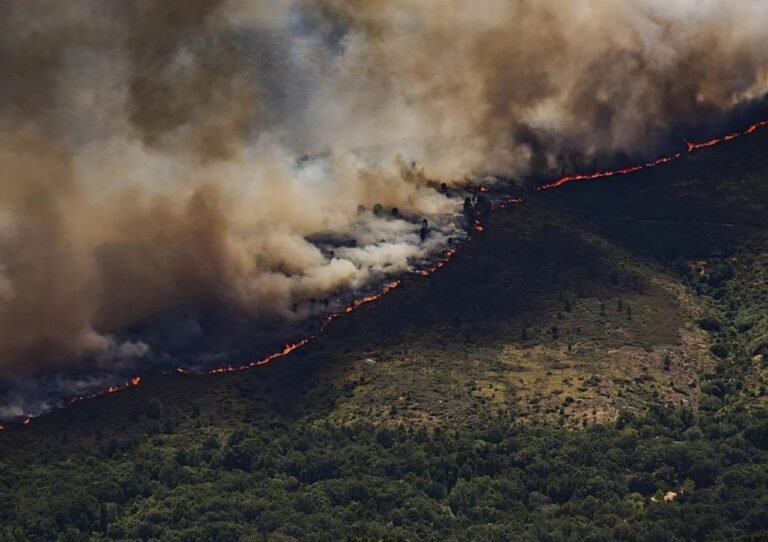 Incendios en España: más de 115.000 evacuados y emergencia nacional